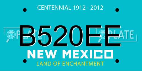 B520EE New Mexico License Plate