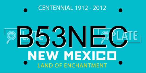 B53NEC New Mexico License Plate