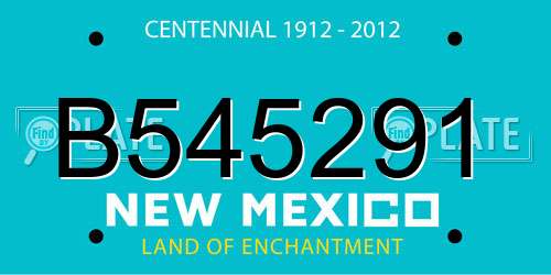 B545291 New Mexico License Plate