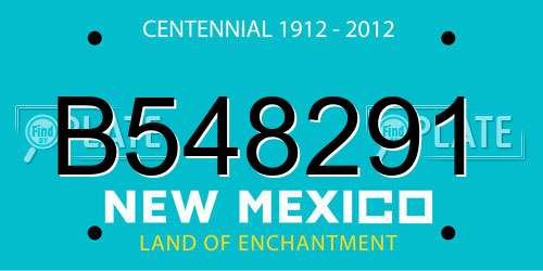 B548291 New Mexico License Plate