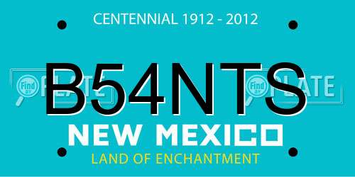 B54NTS New Mexico License Plate