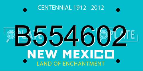 B554602 New Mexico License Plate