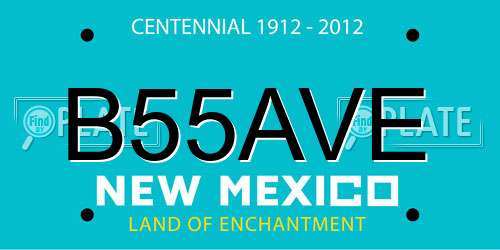 B55AVE New Mexico License Plate
