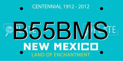 B55BMS New Mexico License Plate