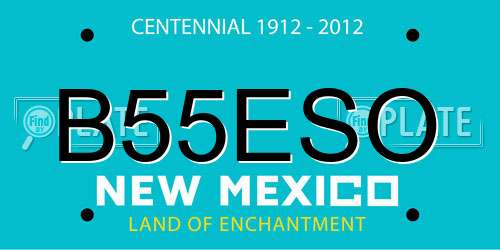 B55ESO New Mexico License Plate
