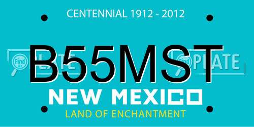 B55MST New Mexico License Plate