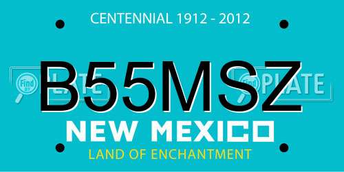 B55MSZ New Mexico License Plate