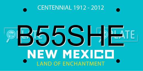 B55SHE New Mexico License Plate
