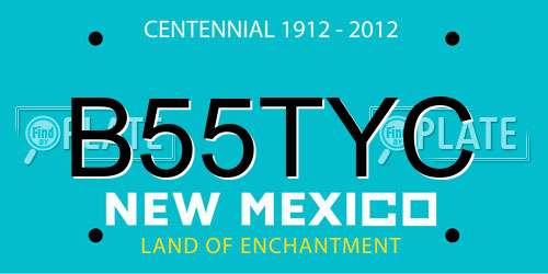 B55TYC New Mexico License Plate
