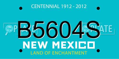B5604S New Mexico License Plate