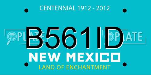 B561ID New Mexico License Plate