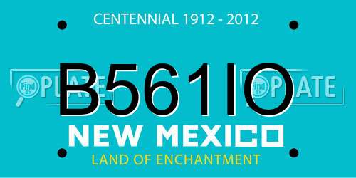 B561IO New Mexico License Plate