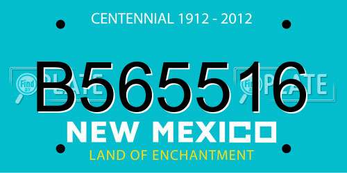 B565516 New Mexico License Plate