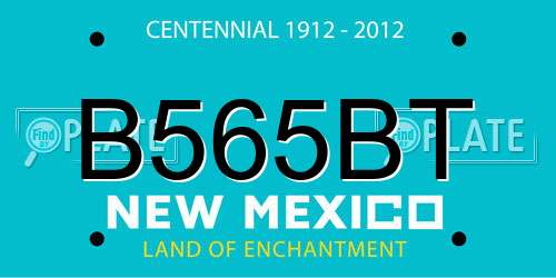 B565BT New Mexico License Plate
