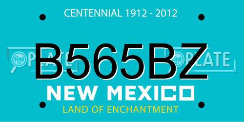 B565BZ New Mexico License Plate