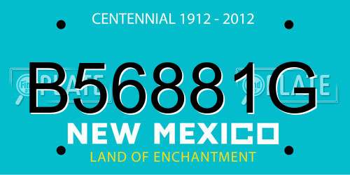 B56881G New Mexico License Plate
