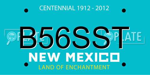 B56SST New Mexico License Plate
