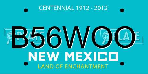 B56WOO New Mexico License Plate