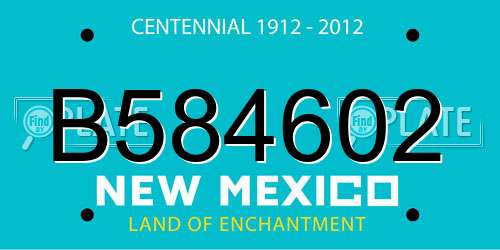 B584602 New Mexico License Plate