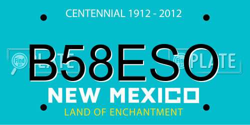 B58ESO New Mexico License Plate