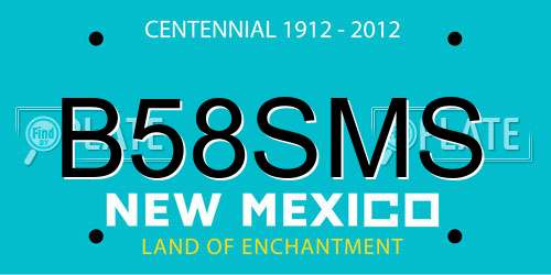 B58SMS New Mexico License Plate