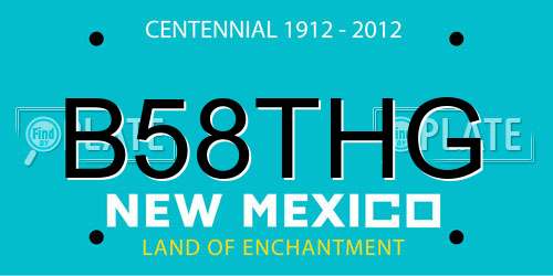 B58THG New Mexico License Plate