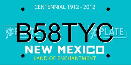 B58TYC New Mexico License Plate