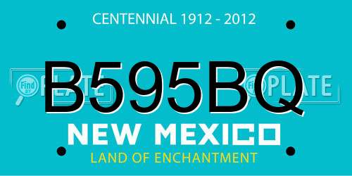 B595BQ New Mexico License Plate