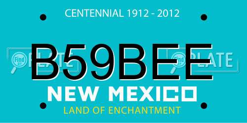 B59BEE New Mexico License Plate