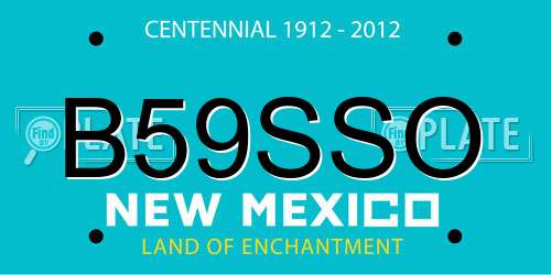 B59SSO New Mexico License Plate