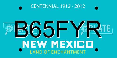 B65FYR New Mexico License Plate