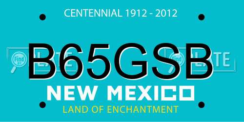 B65GSB New Mexico License Plate