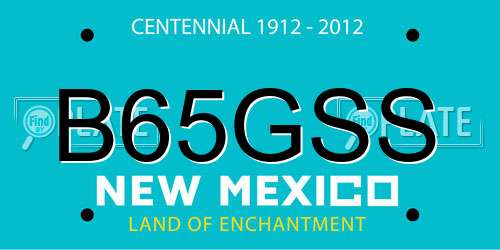 B65GSS New Mexico License Plate