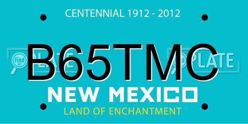 B65TMC New Mexico License Plate