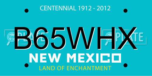 B65WHX New Mexico License Plate
