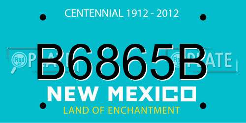 B6865B New Mexico License Plate