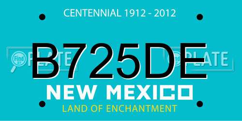 B725DE New Mexico License Plate