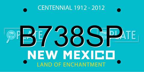 B738SP New Mexico License Plate
