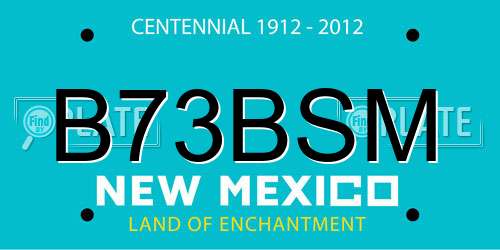 B73BSM New Mexico License Plate