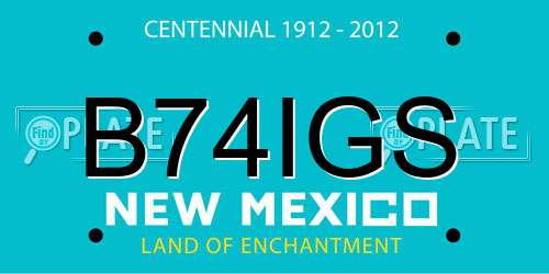 B74IGS New Mexico License Plate