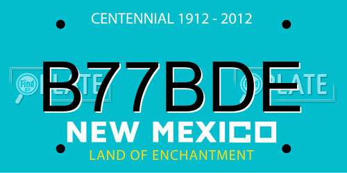 B77BDE New Mexico License Plate