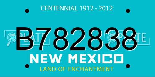 B782838 New Mexico License Plate