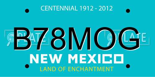 B78MOG New Mexico License Plate