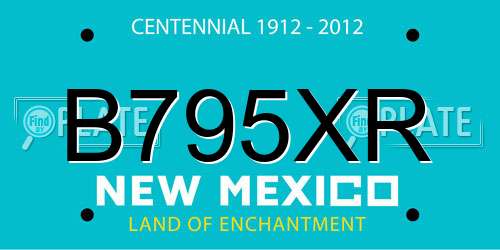 B795XR New Mexico License Plate