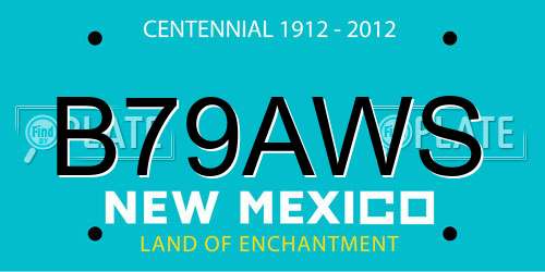 B79AWS New Mexico License Plate