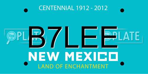 B7LEE New Mexico License Plate