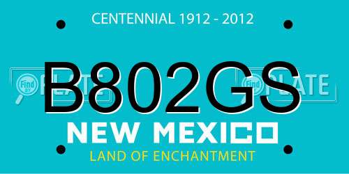 B802GS New Mexico License Plate