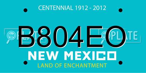 B804EO New Mexico License Plate
