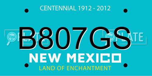 B807GS New Mexico License Plate