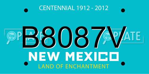 B8087V New Mexico License Plate